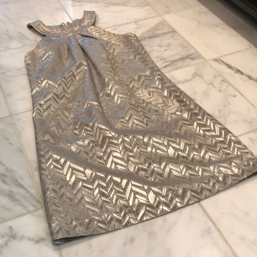 Trina Turk Shiny Dress!